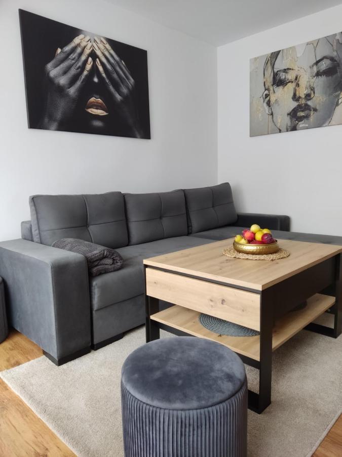 ザトルApartament Janisアパートメント エクステリア 写真