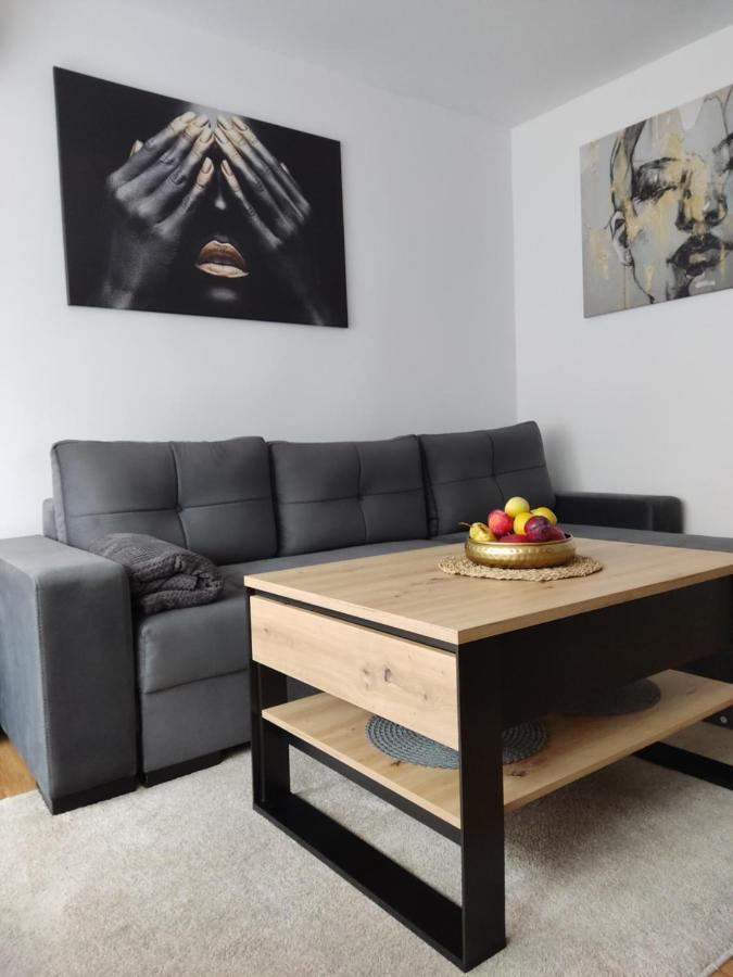 ザトルApartament Janisアパートメント エクステリア 写真
